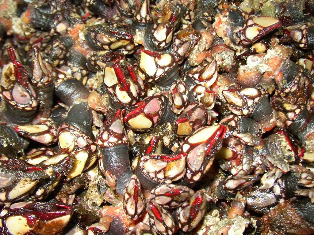 donde comer menú del día en santiago de compostela